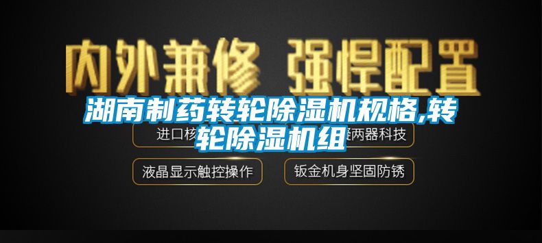 湖南製藥轉輪91看片在线下载機規格,轉輪91看片在线下载機組