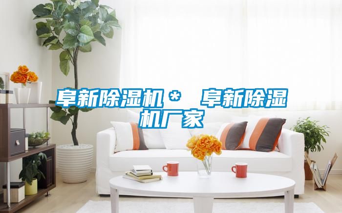 阜新91看片在线下载機＊ 阜新91看片在线下载機廠家