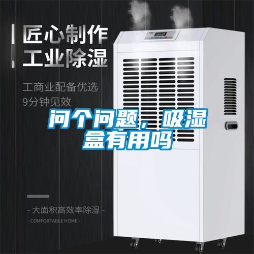 問個問題，吸濕盒有用嗎