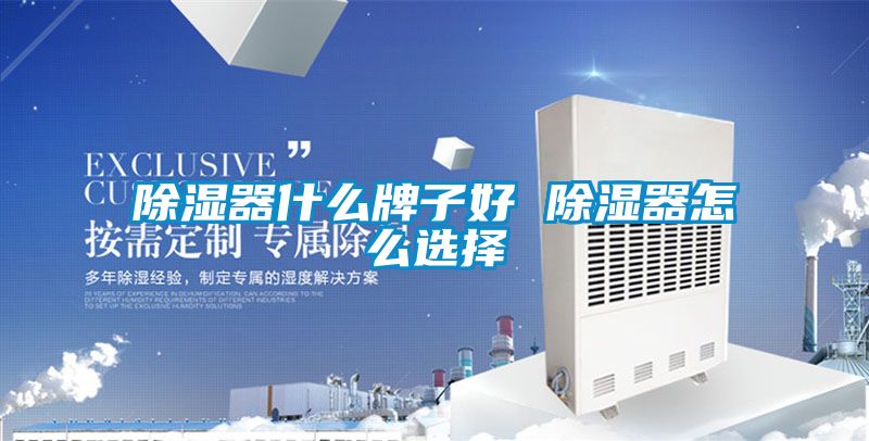 91看片在线下载器什麽牌子好 91看片在线下载器怎麽選擇