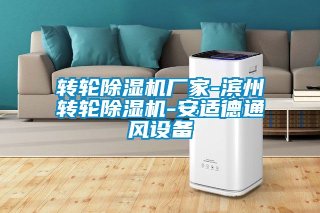 轉輪91看片在线下载機廠家-濱州轉輪91看片在线下载機-安適德通風設備