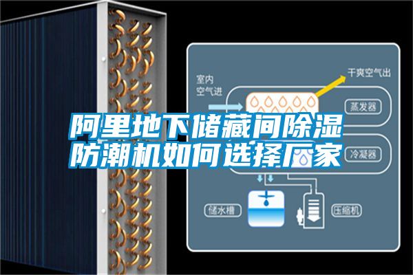 阿裏地下儲藏間91看片在线下载防潮機如何選擇廠家