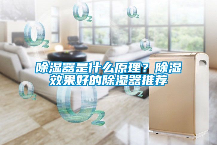 91看片在线下载器是什麽原理？91看片在线下载效果好的91看片在线下载器推薦