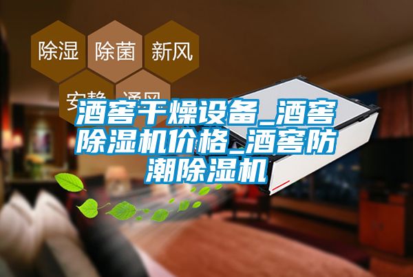 酒窖幹燥設備_酒窖91看片在线下载機價格_酒窖防潮91看片在线下载機
