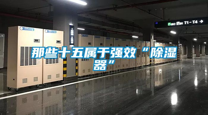 那些十五屬於強效“91看片在线下载器”
