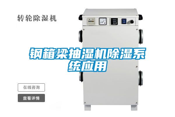 鋼箱梁抽濕機91看片在线下载係統應用