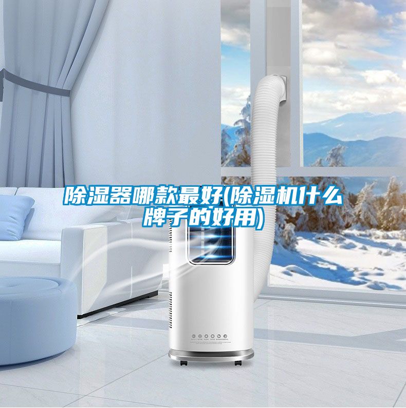 91看片在线下载器哪款最好(91看片在线下载機什麽牌子的好用)