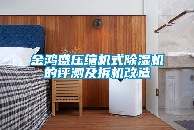 金鴻盛壓縮機式91看片在线下载機的評測及拆機改造
