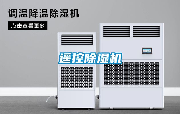 遙控91看片在线下载機