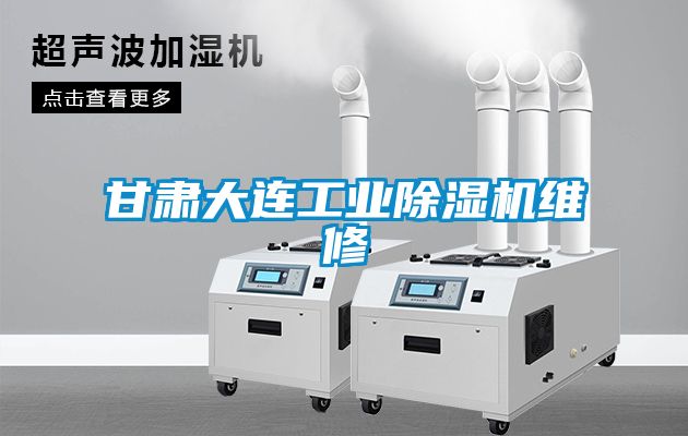 甘肅大連工業91看片在线下载機維修