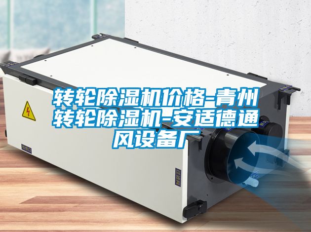 轉輪91看片在线下载機價格-青州轉輪91看片在线下载機-安適德通風設備廠