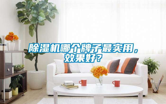 91看片在线下载機哪個牌子最實用，效果好？
