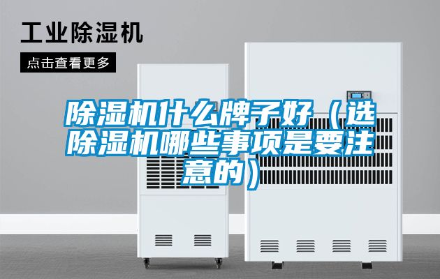 91看片在线下载機什麽牌子好（選91看片在线下载機哪些事項是要注意的）