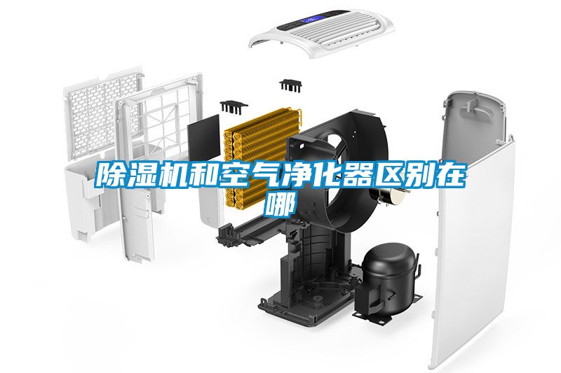 91看片在线下载機和空氣淨化器區別在哪