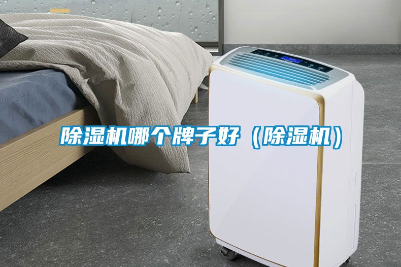 91看片在线下载機哪個牌子好（91看片在线下载機）