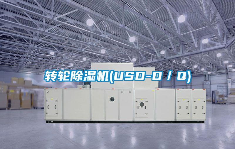 轉輪91看片在线下载機(USD-D／Q)