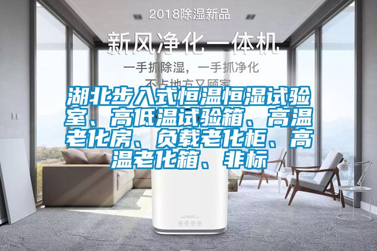 湖北步入式恒溫恒濕試驗室、高低溫試驗箱、高溫老化房、負載老化櫃、高溫老化箱、非標