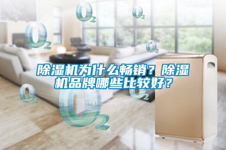 91看片在线下载機為什麽暢銷？91看片在线下载機品牌哪些比較好？