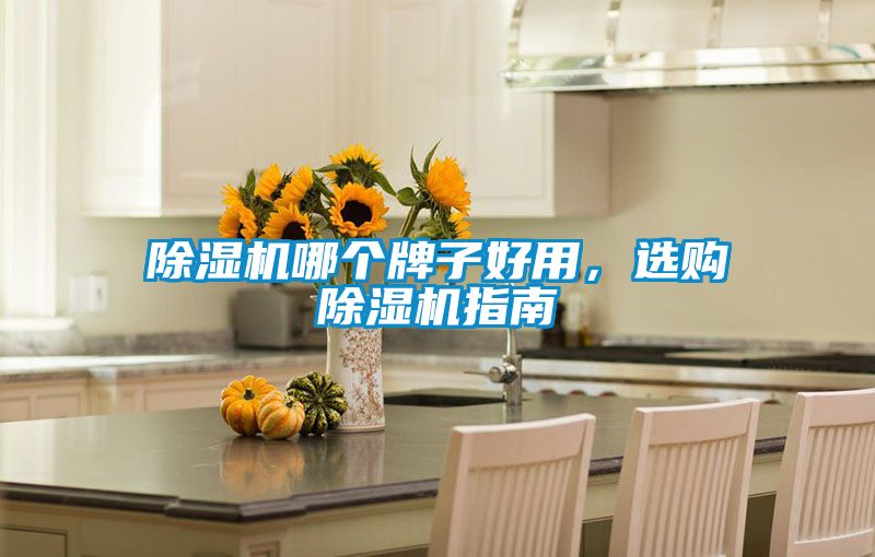 91看片在线下载機哪個牌子好用，選購91看片在线下载機指南