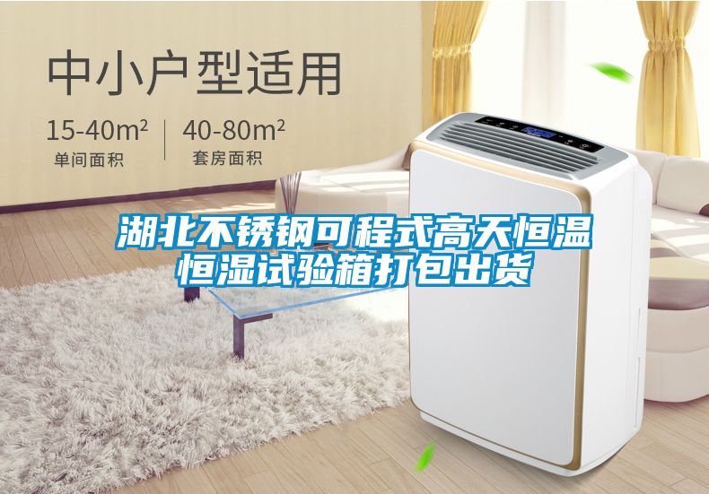 湖北不鏽鋼可程式高天恒溫恒濕試驗箱打包出貨