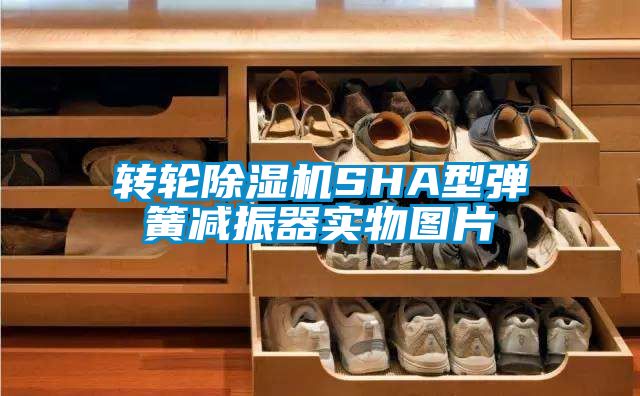 轉輪91看片在线下载機SHA型彈簧減振器實物圖片