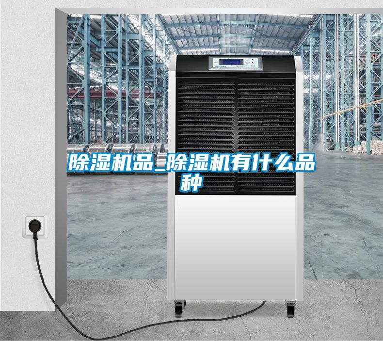 91看片在线下载機品_91看片在线下载機有什麽品種