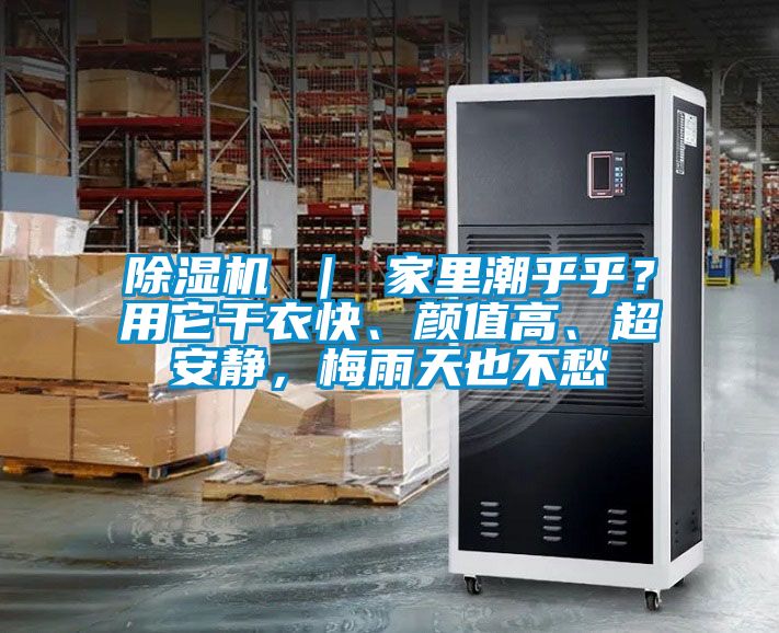 91看片在线下载機 ｜ 家裏潮乎乎？用它幹衣快、顏值高、超安靜，梅雨天也不愁