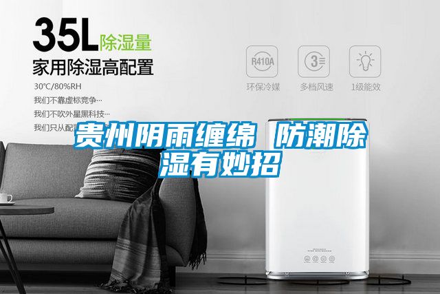貴州陰雨纏綿 防潮91看片在线下载有妙招