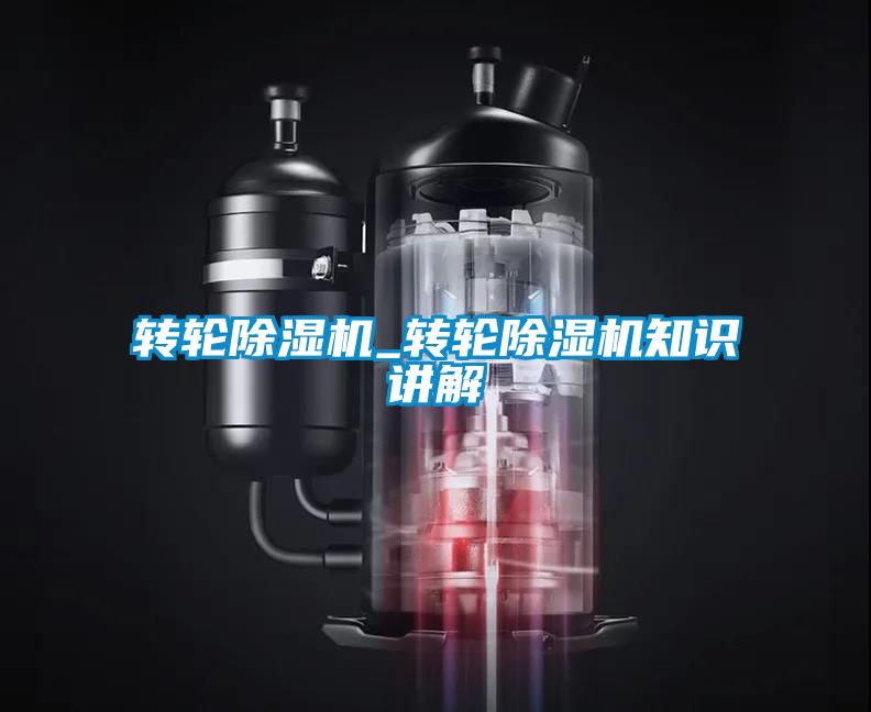 轉輪91看片在线下载機_轉輪91看片在线下载機知識講解