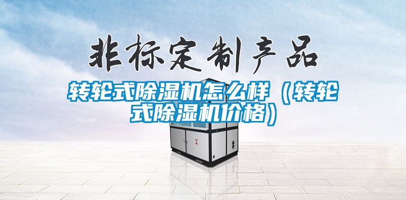 轉輪式91看片在线下载機怎麽樣（轉輪式91看片在线下载機價格）
