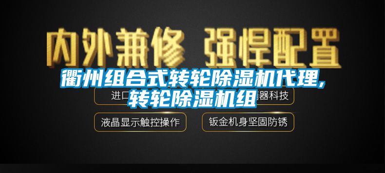 衢州組合式轉輪91看片在线下载機代理,轉輪91看片在线下载機組