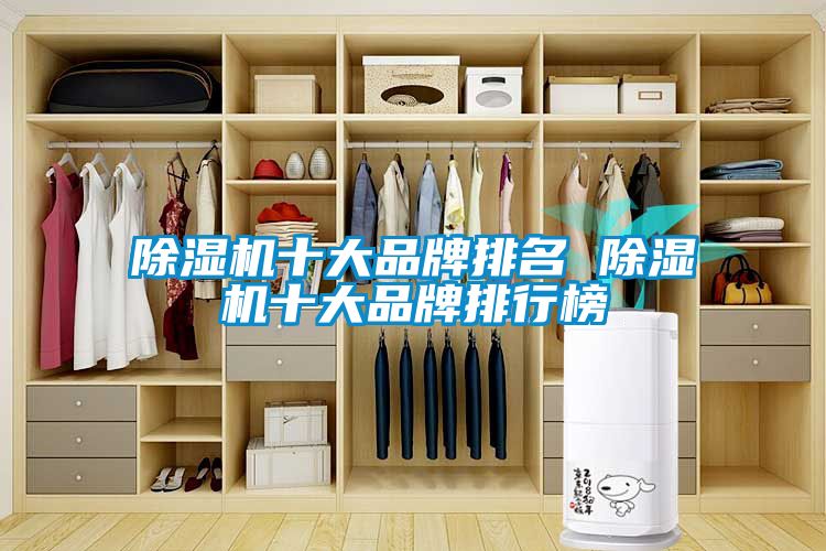 91看片在线下载機十大品牌排名 91看片在线下载機十大品牌排行榜