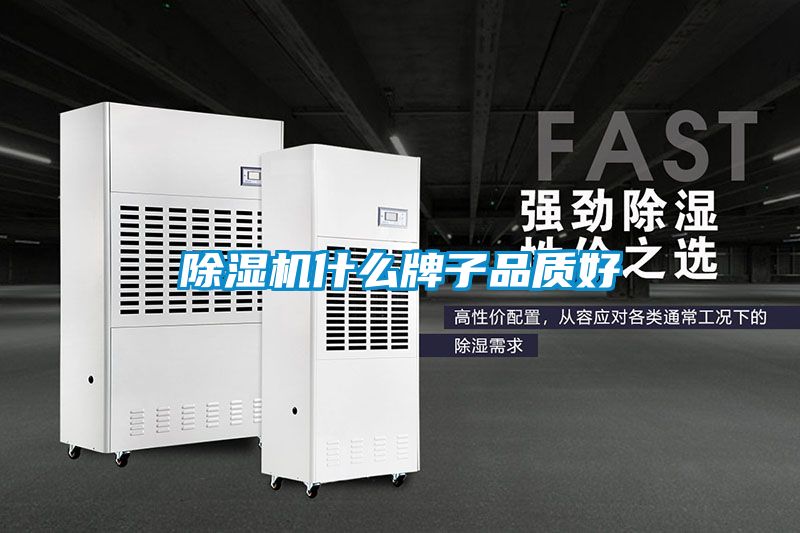 91看片在线下载機什麽牌子品質好