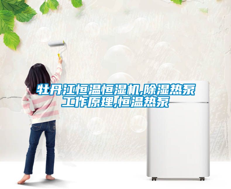 牡丹江恒溫恒濕機,91看片在线下载熱泵工作原理,恒溫熱泵