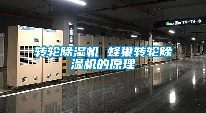 轉輪91看片在线下载機 蜂巢轉輪91看片在线下载機的原理