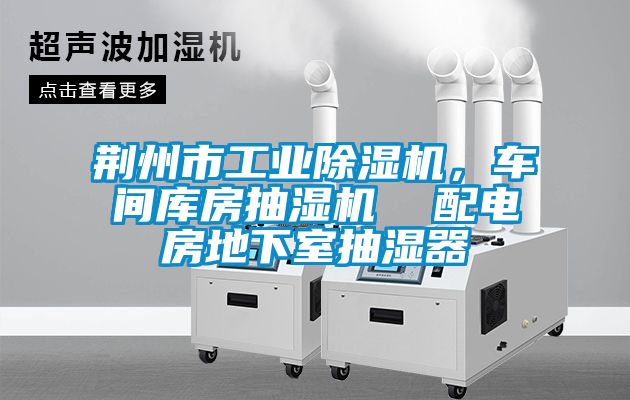 荊州市工業91看片在线下载機，車間庫房抽濕機  配電房地下室抽濕器