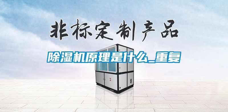 91看片在线下载機原理是什麽_重複