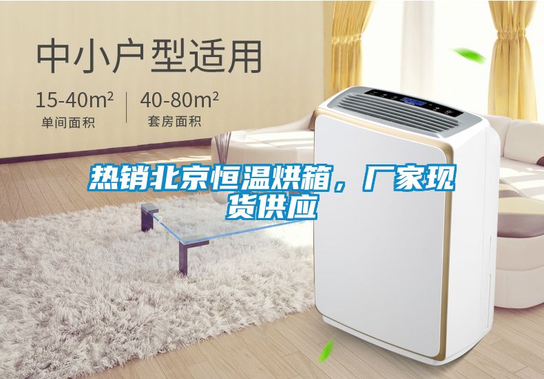 熱銷北京恒溫烘箱，廠家現貨供應