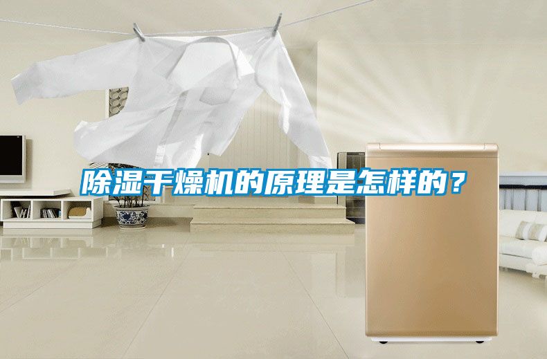 91看片在线下载幹燥機的原理是怎樣的？
