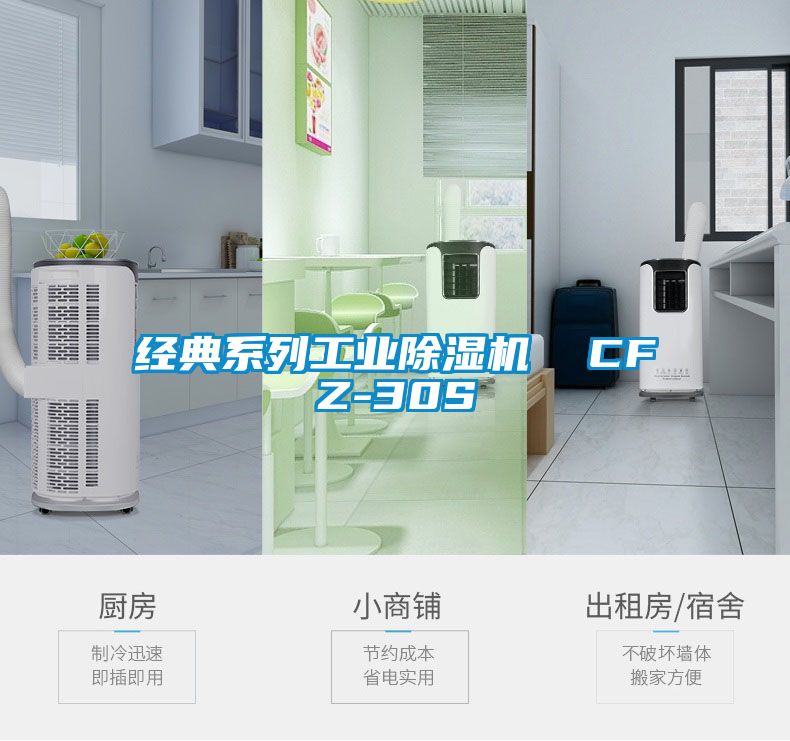 經典係列工業91看片在线下载機  CFZ-30S