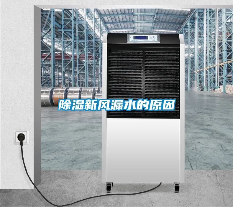 91看片在线下载新風漏水的原因