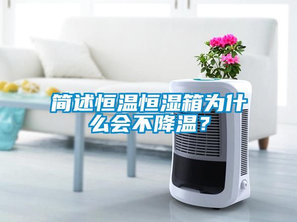 簡述恒溫恒濕箱為什麽會不降溫？