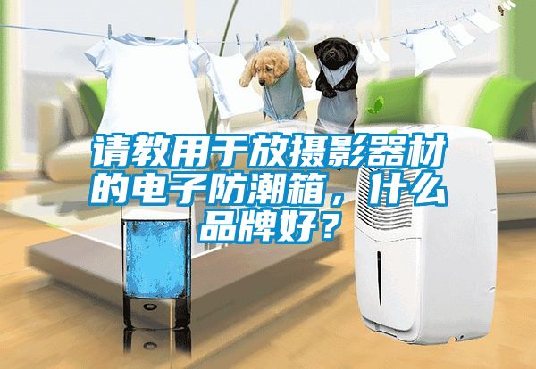 請教用於放攝影器材的電子防潮箱，什麽品牌好？