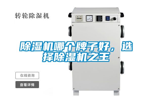 91看片在线下载機哪個牌子好，選擇91看片在线下载機之王
