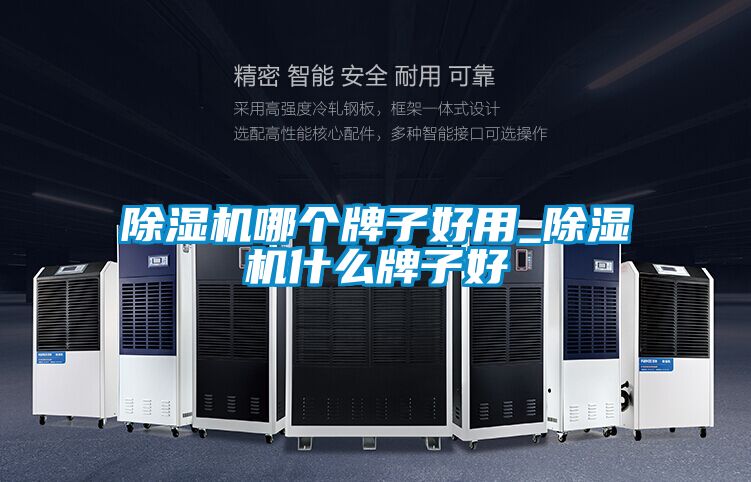 91看片在线下载機哪個牌子好用_91看片在线下载機什麽牌子好