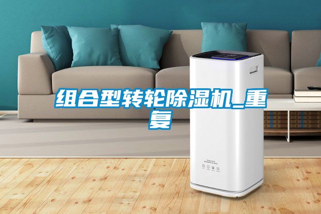 組合型轉輪91看片在线下载機_重複