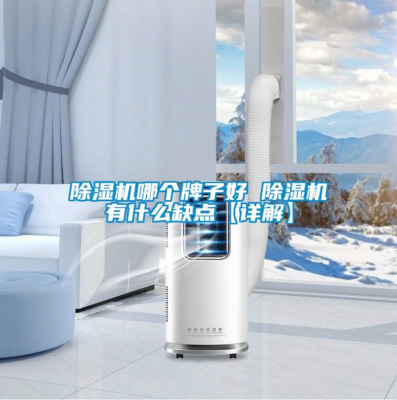 91看片在线下载機哪個牌子好 91看片在线下载機有什麽缺點【詳解】