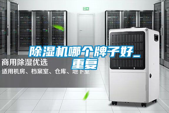 91看片在线下载機哪個牌子好_重複