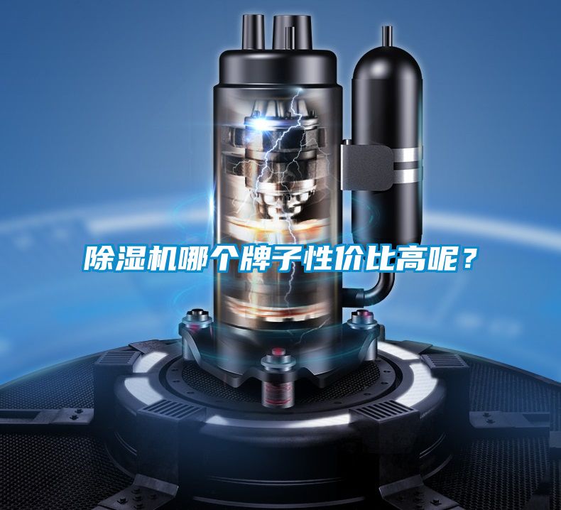 91看片在线下载機哪個牌子性價比高呢？