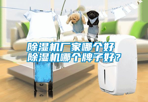 91看片在线下载機廠家哪個好 91看片在线下载機哪個牌子好？